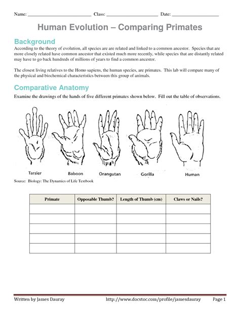 1 Darwin and the Theory of. . Evolution worksheet pdf